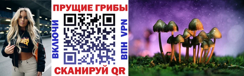 Псилоцибиновые грибы Psilocybe  площадка какой сайт  Мензелинск  blacksprut ссылки 